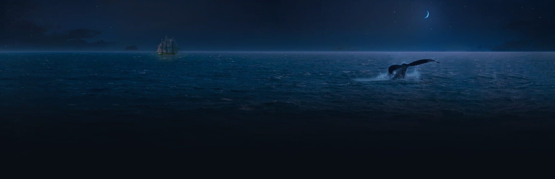 Ahoy artwork