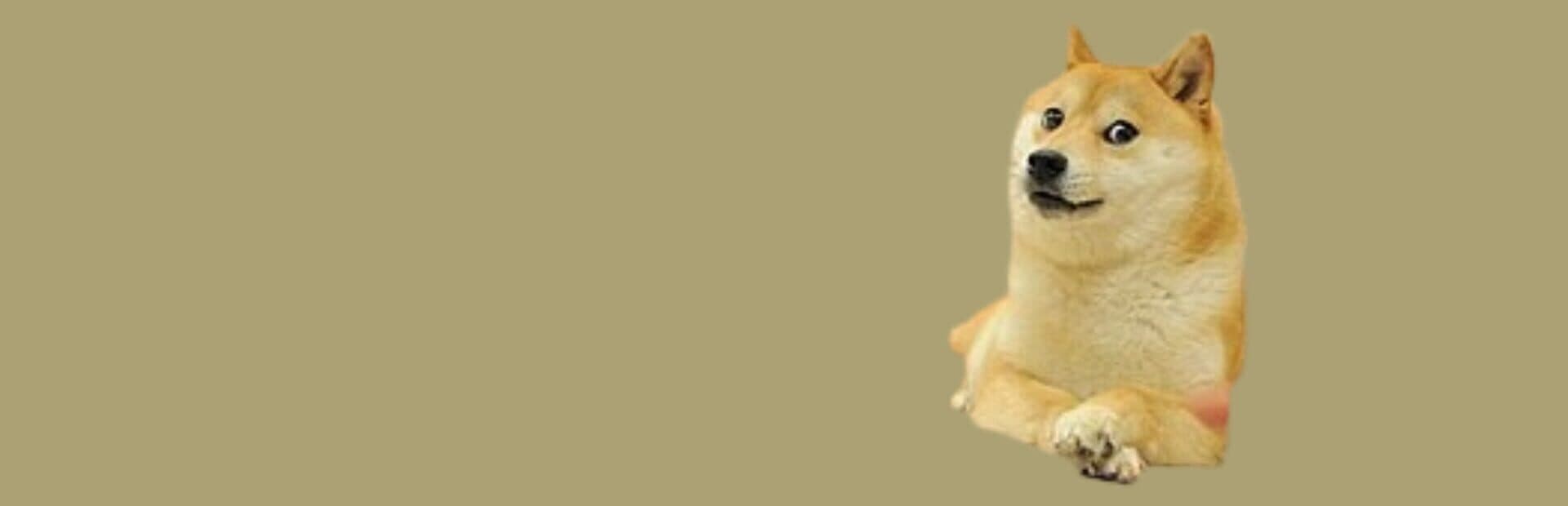 Dog artwork
