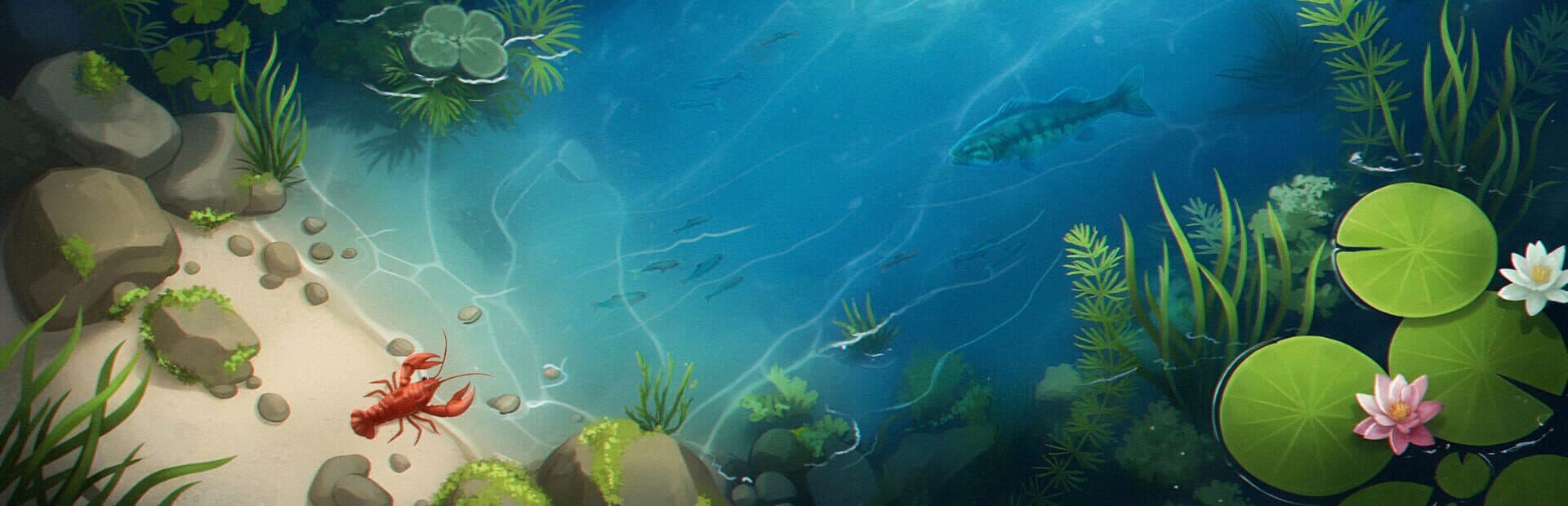 FishPond artwork