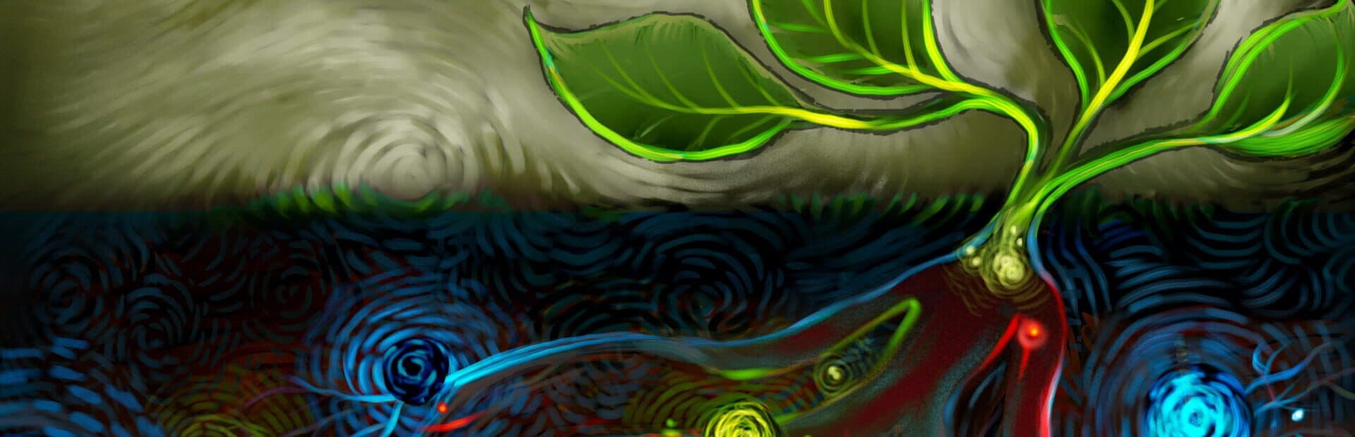 Mycocosm artwork