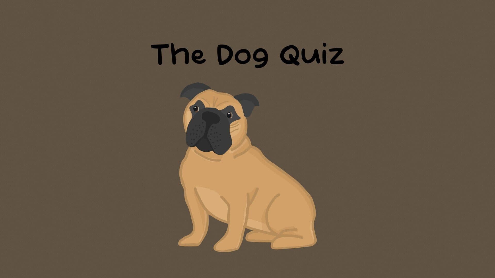 The Dog Quiz artwork