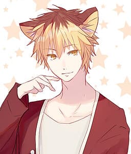 Kitsune Leger