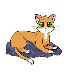 Ammy