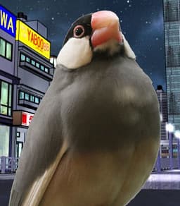 Koshiba Azami