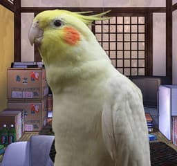 One