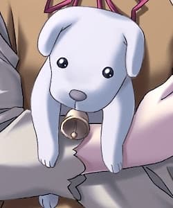 Pipi