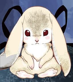 Rabbit