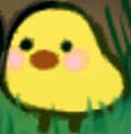 Hiyoko