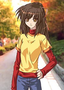 Kaze no Ushiro wo Ayumumono