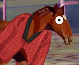 Horse in a coat