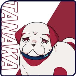 Mr.Tanaka
