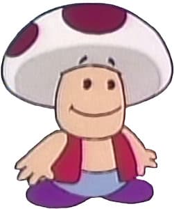 Toad
