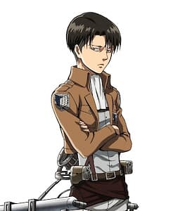 Levi