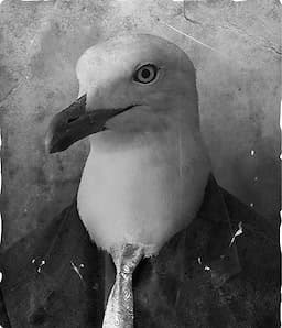 Timothy Saltwater