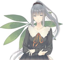 Yatsushiro Yuzuriha