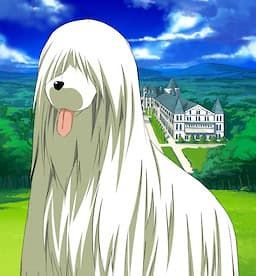 Inoue-Sensei