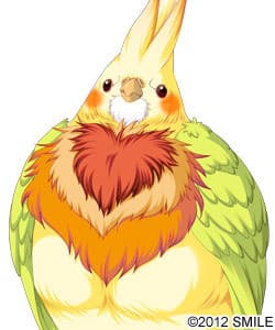 Garuda