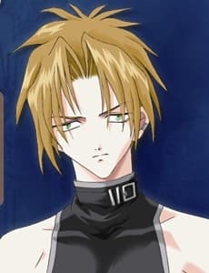 Ryuusei no Kira