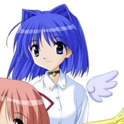 Aoi