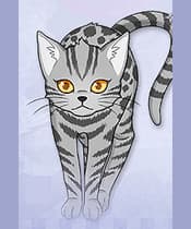 Tora