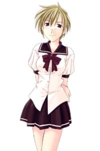 Shiragiku Hayate