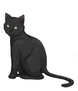 Tina