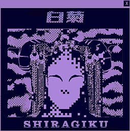 Shiragiku