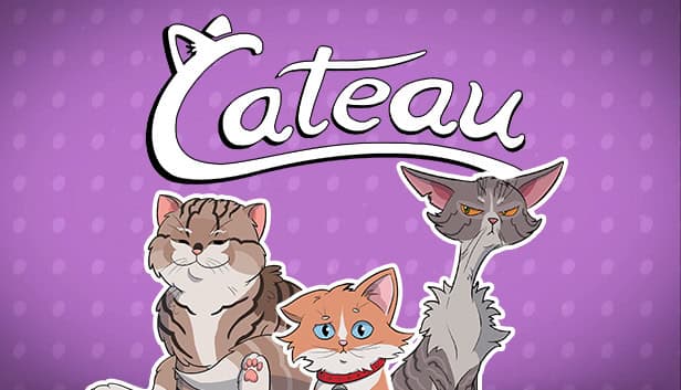 Cateau cover