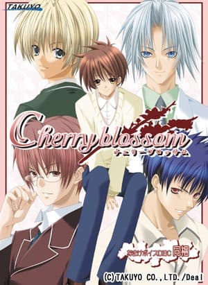 Cherryblossom cover