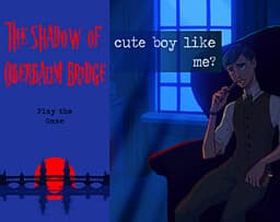 The Shadow of Oberbaum Bridge cover