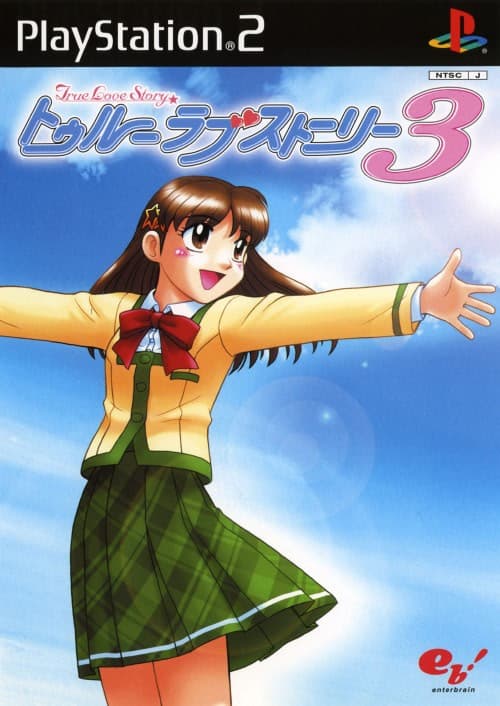 True Love Story 3 cover