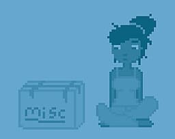 Misc. cover