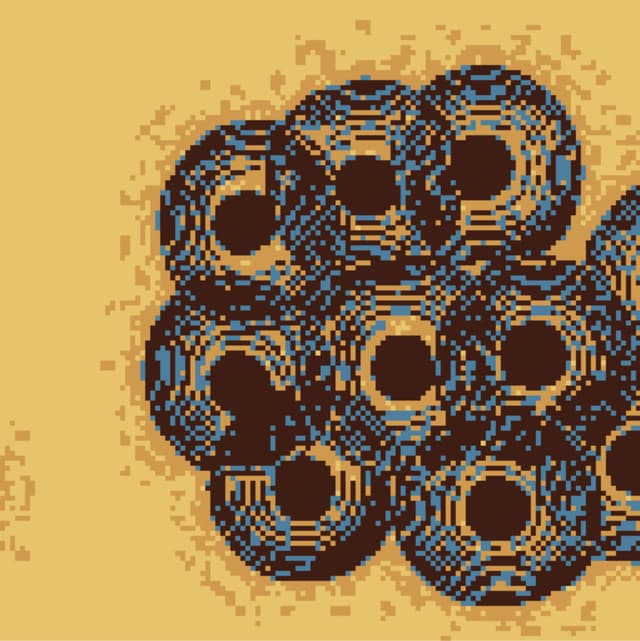 Amphibios cover
