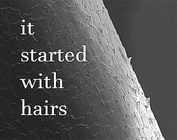 It Started With Hairs cover