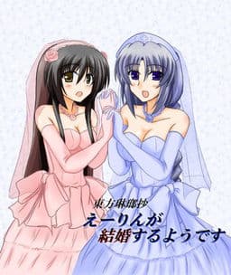 Touhou Rinroushou Eirin ga Kekkon Suru You Desu~ cover