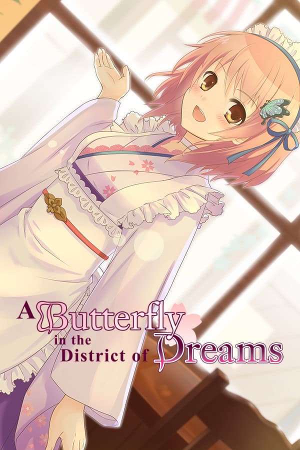A Butterfly in the District of Dreams cover