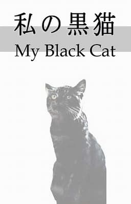 My Black Cat cover