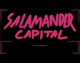 Salamander Capital cover
