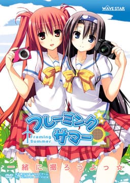 Framing Summer cover