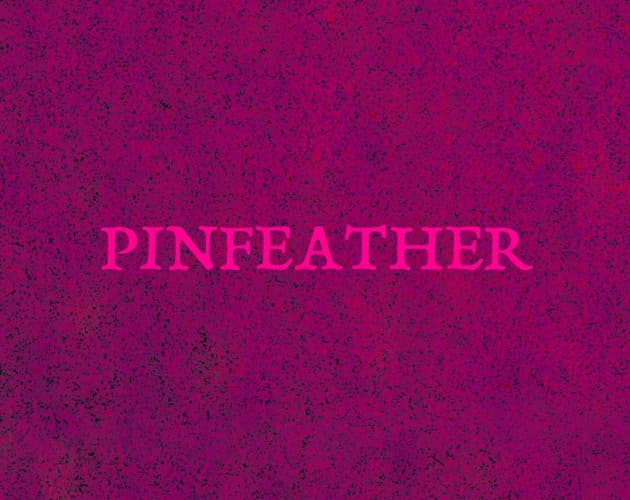 Pinfeather cover