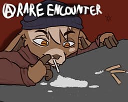 A Rare Encounter cover