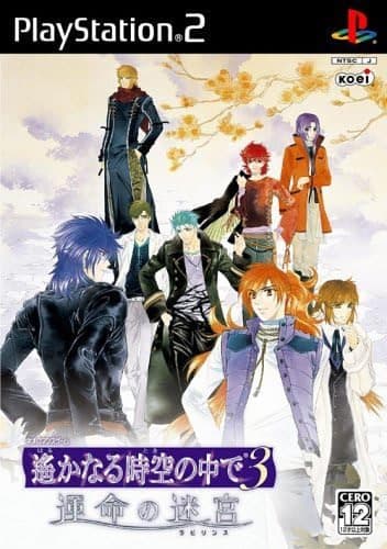 Harukanaru Toki no Naka de 3: Unmei no Labyrinth cover