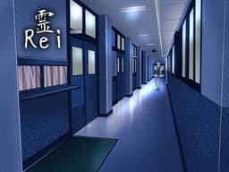Rei cover
