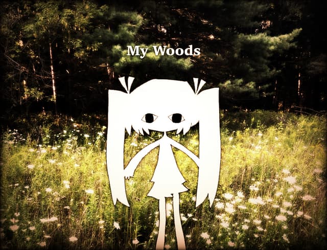My Woods cover