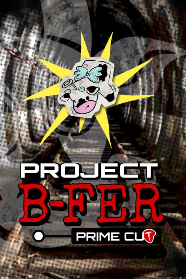 Project B-FER cover