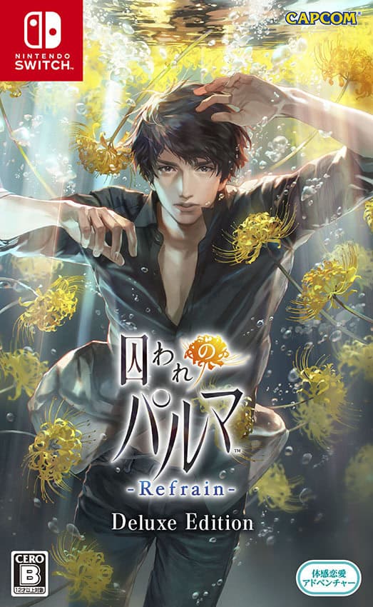 Toraware no Paruma Refrain cover