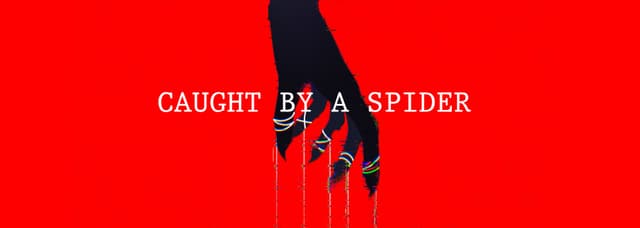 Caught by a Spider cover