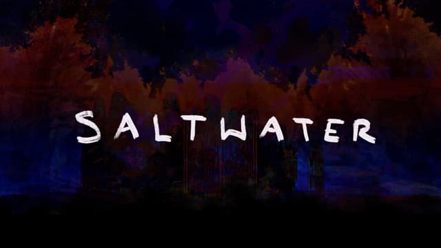 SALTWATER cover