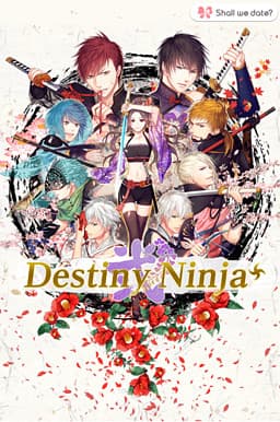 Destiny Ninja 2+ cover