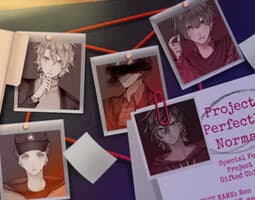 Project: Perfectly Normal cover